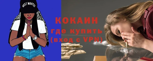 амф Богданович