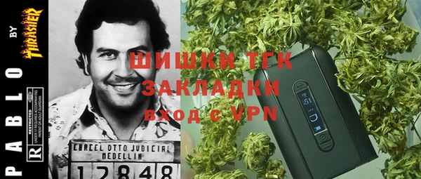 2c-b Белокуриха