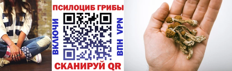 Галлюциногенные грибы мицелий  маркетплейс телеграм  Можайск 